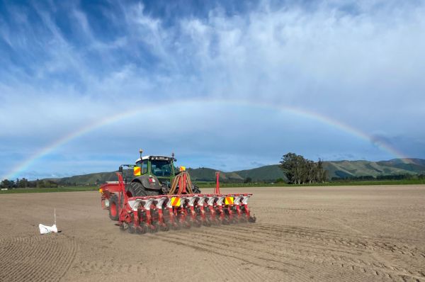 Fodder beet being drilled into a paddock, image shows a drill being towed by a tractor with a rainbow in the background